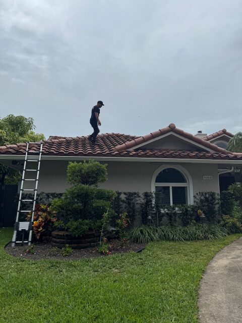 roof inspection