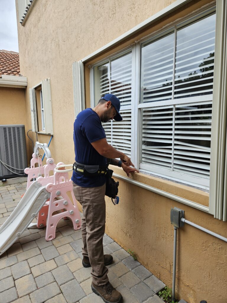 window (2)